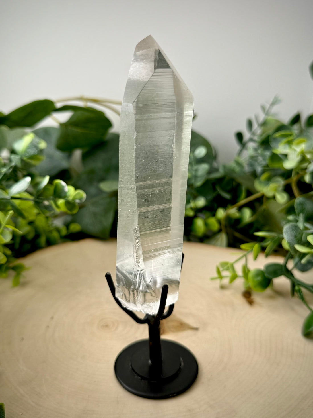 Raw Lemurian Quartz Display | Natural Brazilian Crystal on Stand