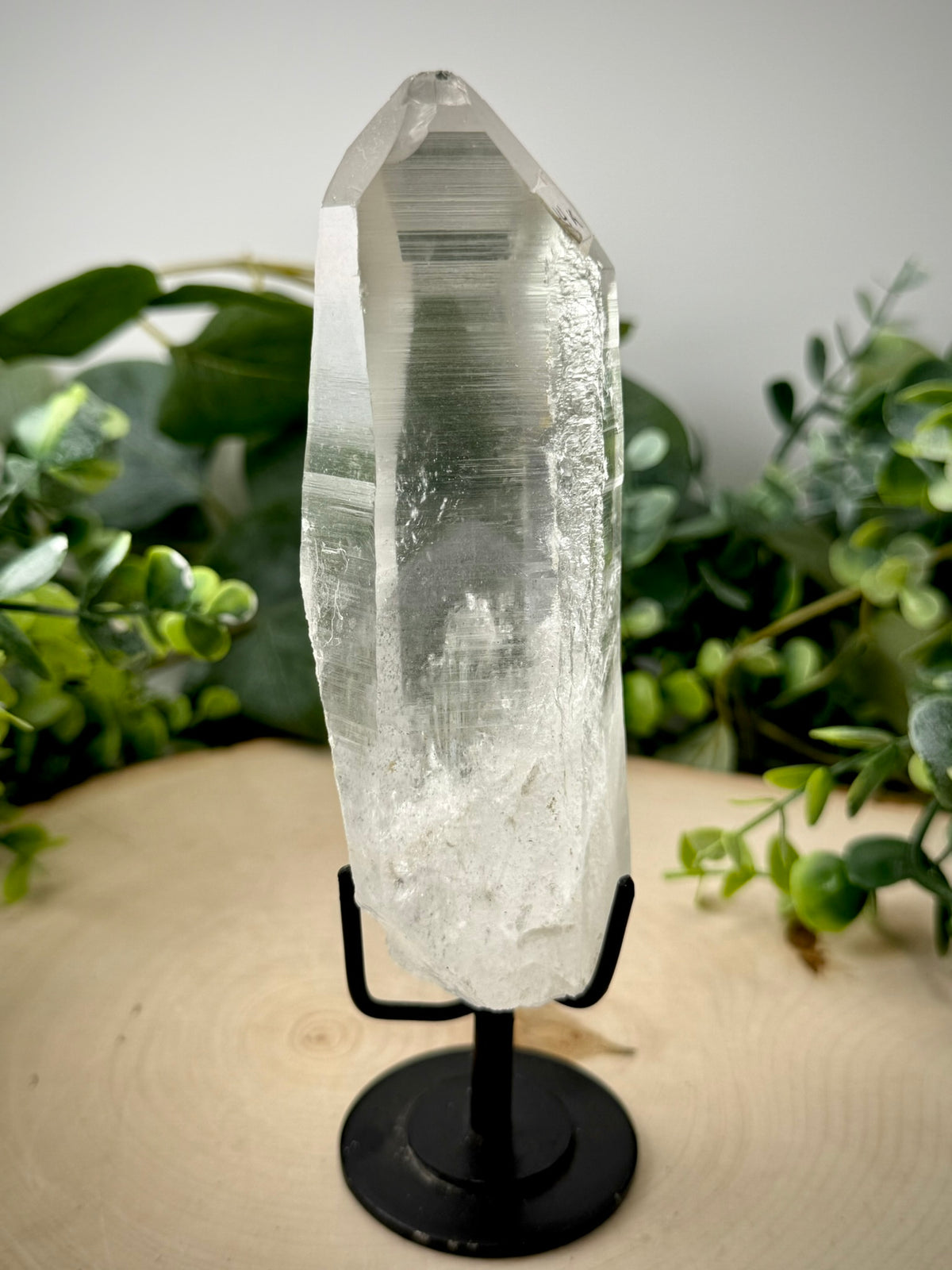 Raw Lemurian Quartz Display | Natural Brazilian Crystal on Stand - Still Water Crystals