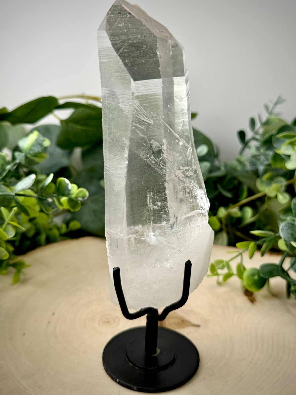 Raw Lemurian Quartz Display | Natural Brazilian Crystal on Stand - Still Water Crystals