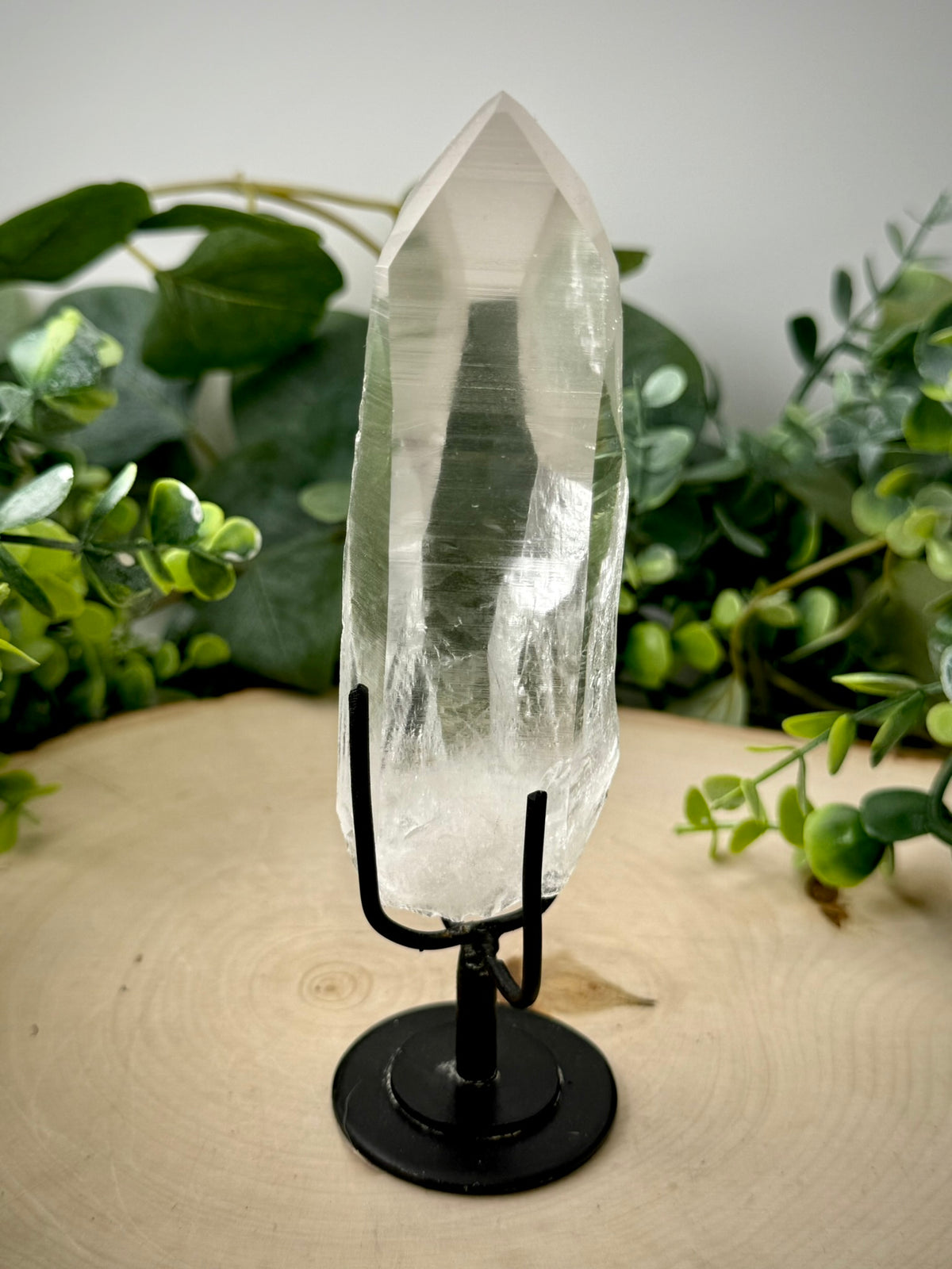 Raw Lemurian Quartz Display | Natural Brazilian Crystal on Stand - Still Water Crystals