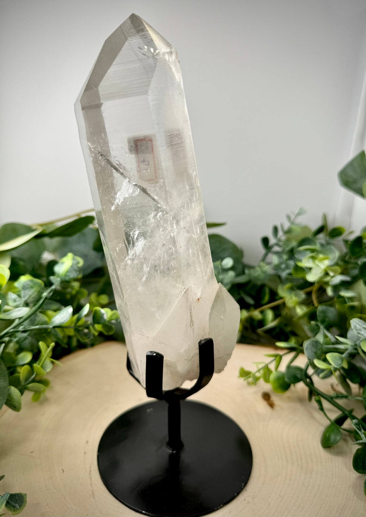 Raw Lemurian Quartz Display | Natural Brazilian Crystal on Stand - Still Water Crystals