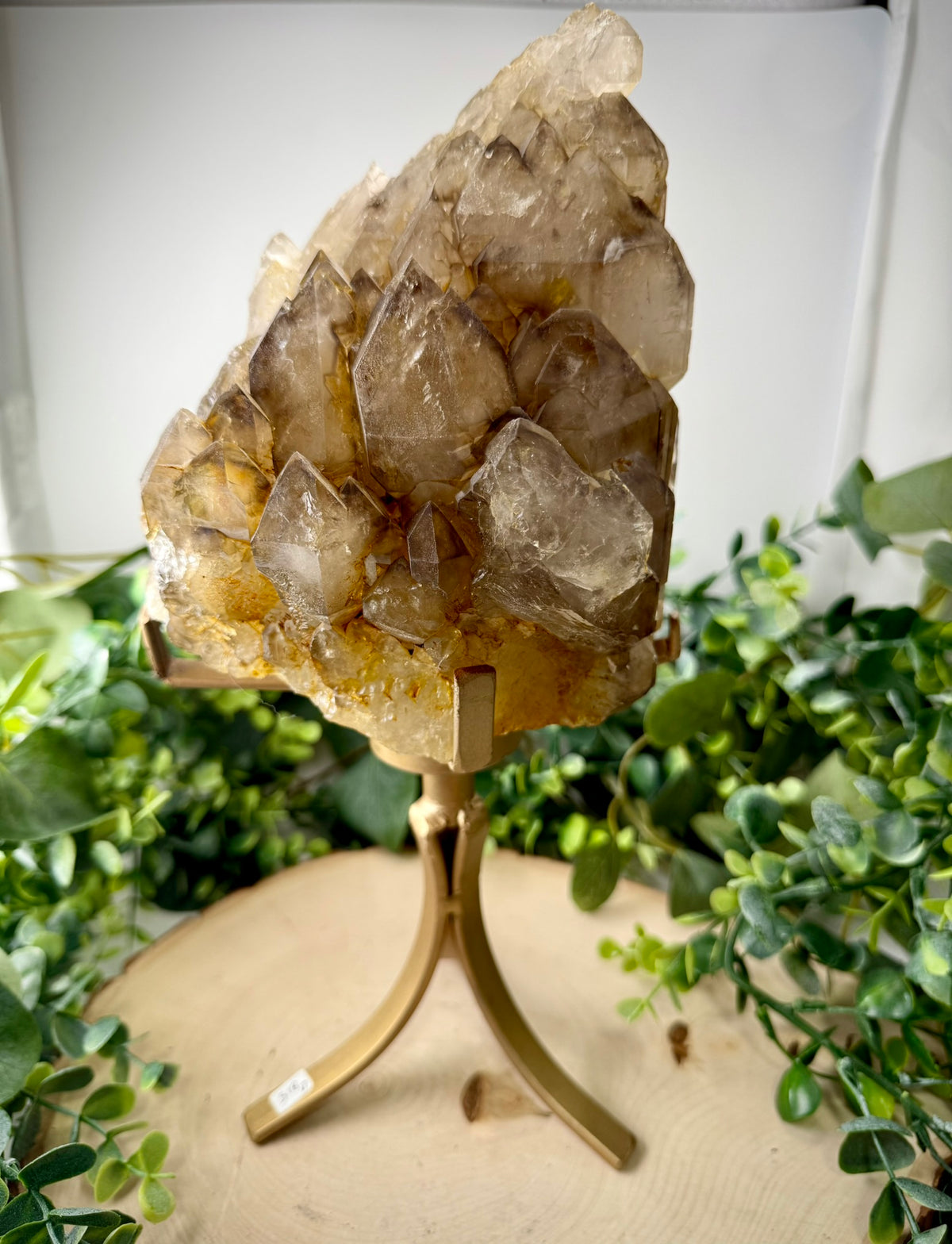 Brazilian Raw Elestial Smoky Quartz | Natural Crystal on Custom Rotating Display Stand