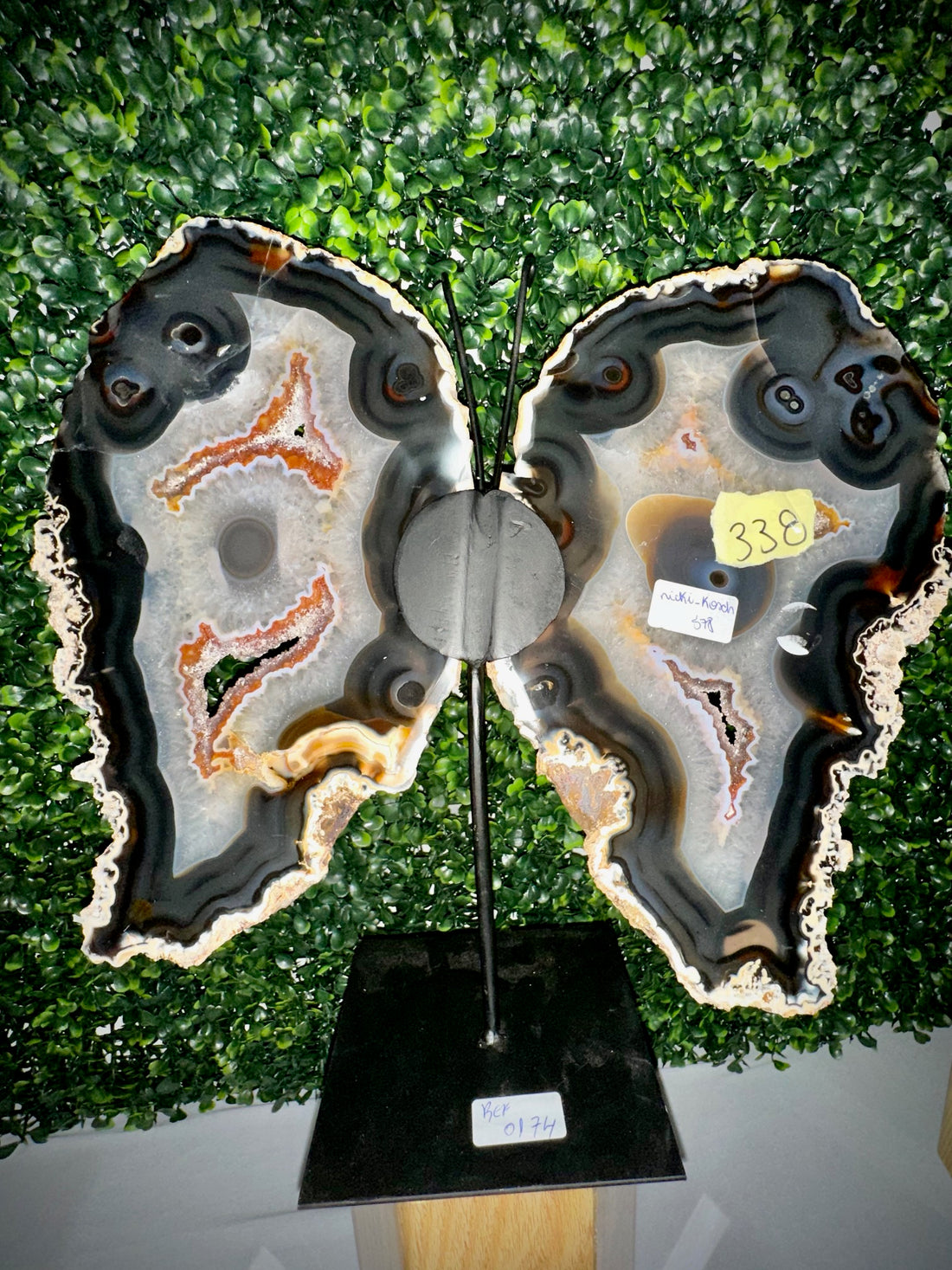 Brazilian Agate Butterfly Wings