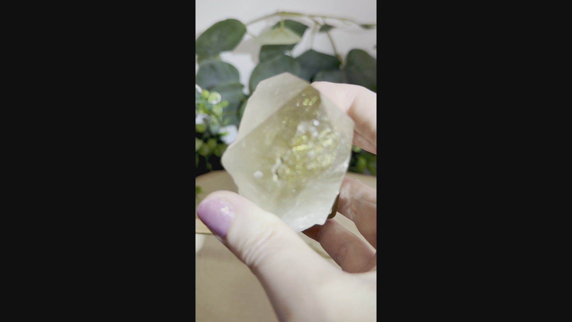 Brazilian Gold Rutilated Quartz | Raw &amp; Polished Crystal with Custom Stand