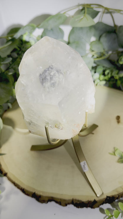 Brazilian Gold Rutilated Quartz | Raw &amp; Polished Crystal with Custom Stand